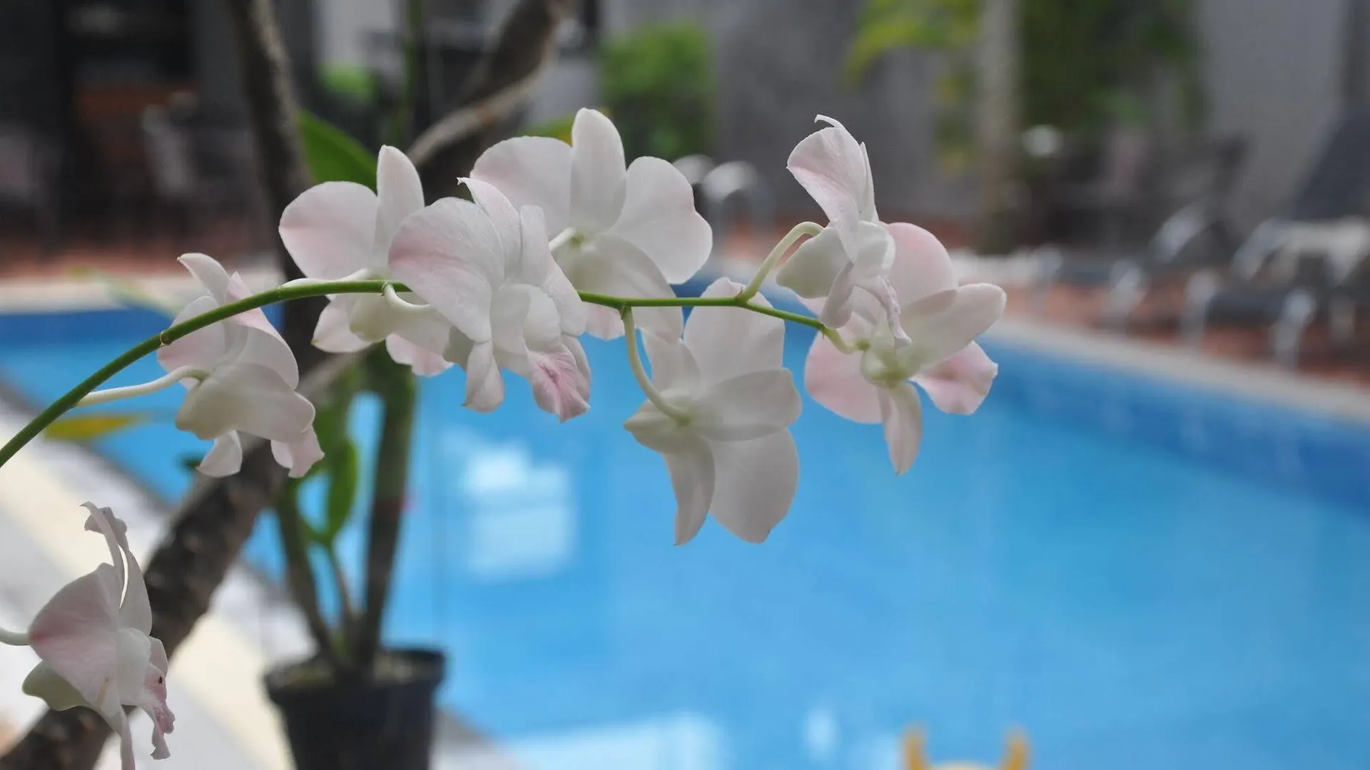 Hotel Nature Life Resort (Adults Only) Sihanoukville